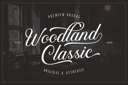 Elegant Script Fonts for Logo Design & Beautiful Lettering Projects (21 ...