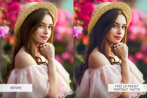 30+ Best Free Lightroom Presets for Your Photo Styling