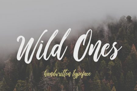 40+ Beautiful Adventure Fonts for Finest Typography Design