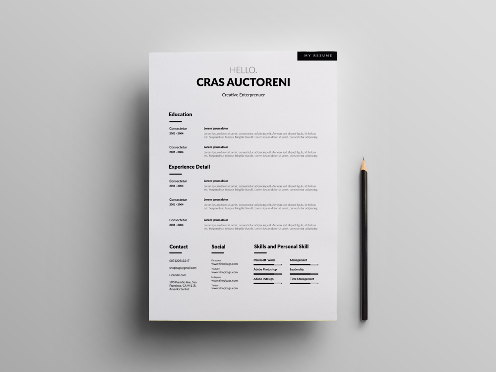 30 Free Creative Resume Templates For Adobe Indesign Decolore Net