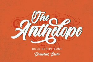 30+ Brilliant Vintage / Retro Script Fonts for Designers