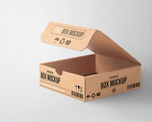 45+ Outstanding Cardboard Box PSD Mockup Templates