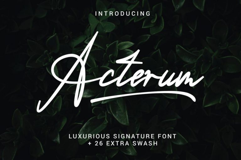 20+ Sophisticated Fonts with Swashes - Decolore