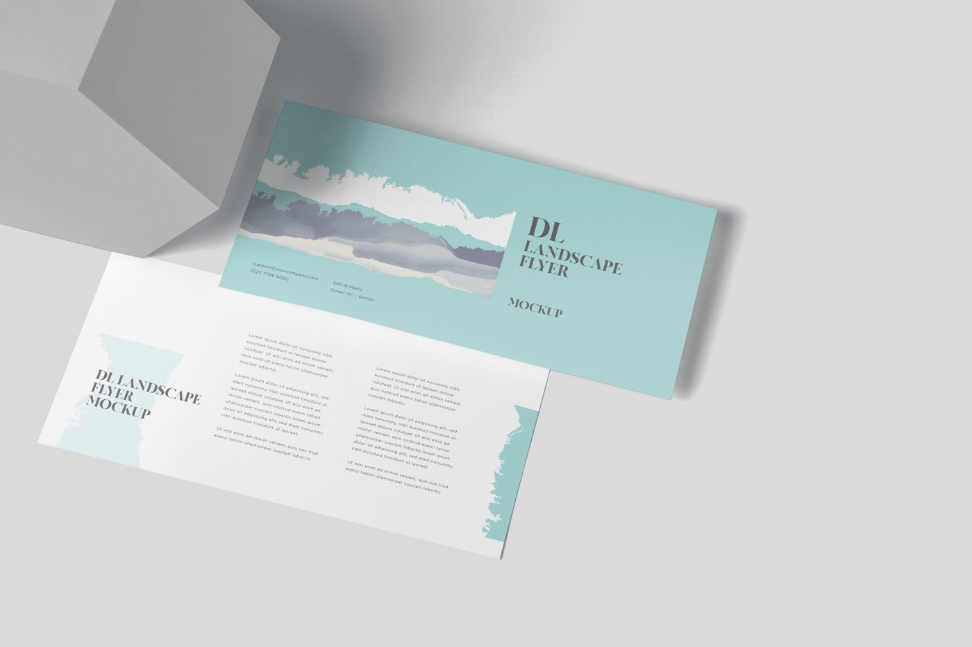 35+ Impressive DL Flyer Mockup Templates - Decolore